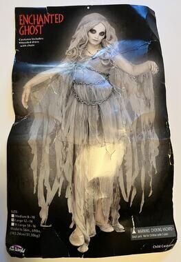 Fun World Enchanted Ghost Halloween Costume Child Size Large 12/14. EUC!